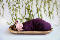 Newborn